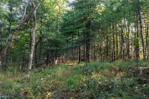 10772 Lawndell Road SW Navarre OH 44608