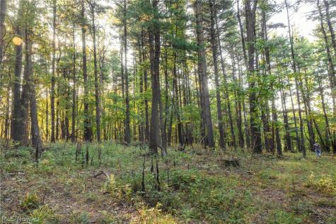 10772 Lawndell Road SW Navarre OH 44608