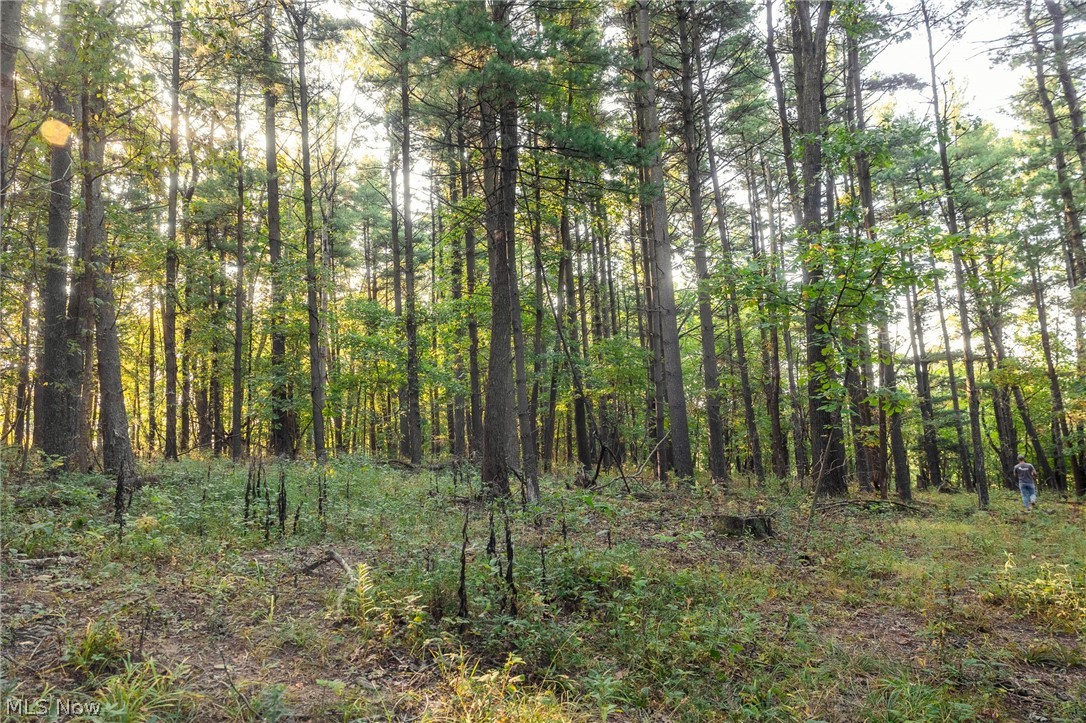10772 Lawndell Road SW Navarre OH 44608