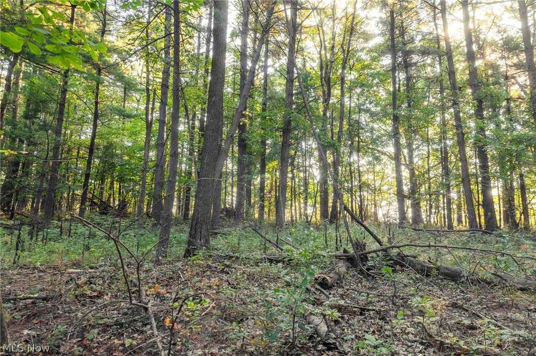 10772 Lawndell Road SW Navarre OH 44608