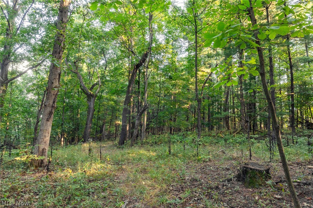 10772 Lawndell Road SW Navarre OH 44608