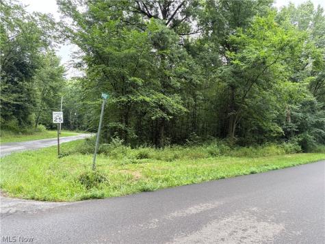 Bon Air Avenue NE Alliance OH 44601
