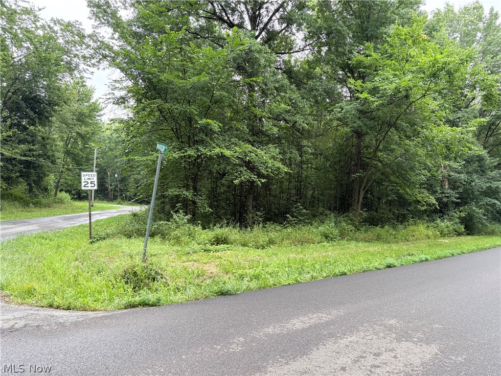 Bon Air Avenue NE Alliance OH 44601
