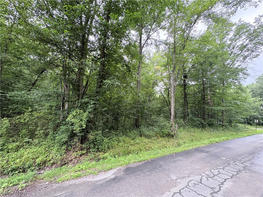 Bon Air Avenue NE Alliance OH 44601