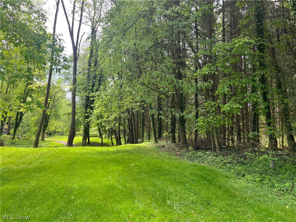 High Mill Avenue NW Clinton OH 44216