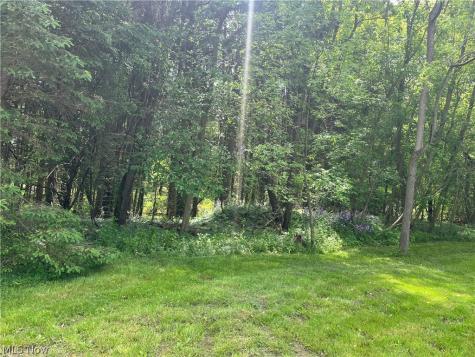 High Mill Avenue NW Clinton OH 44216