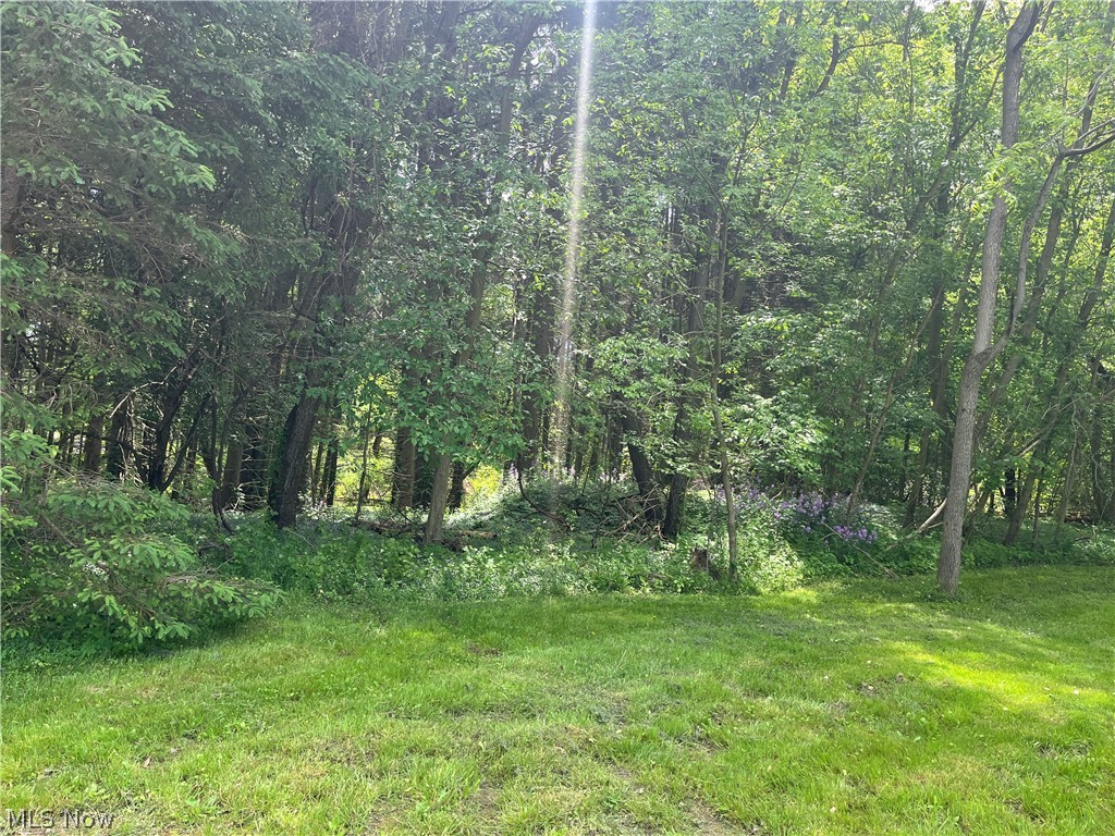 High Mill Avenue NW Clinton OH 44216