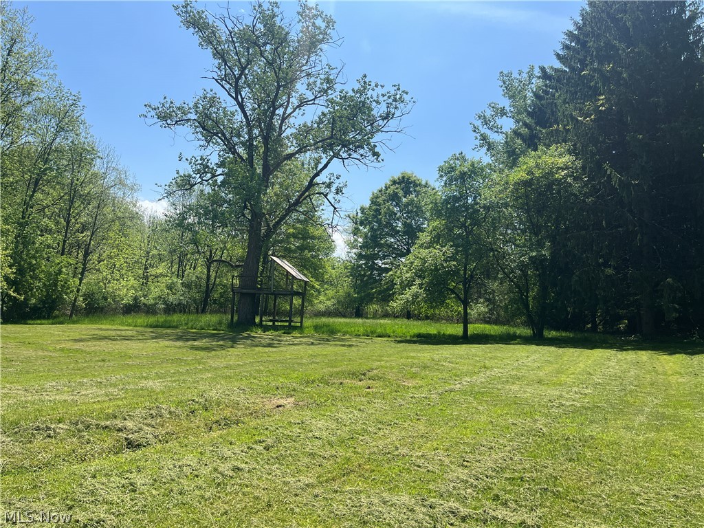 High Mill Avenue NW Clinton OH 44216