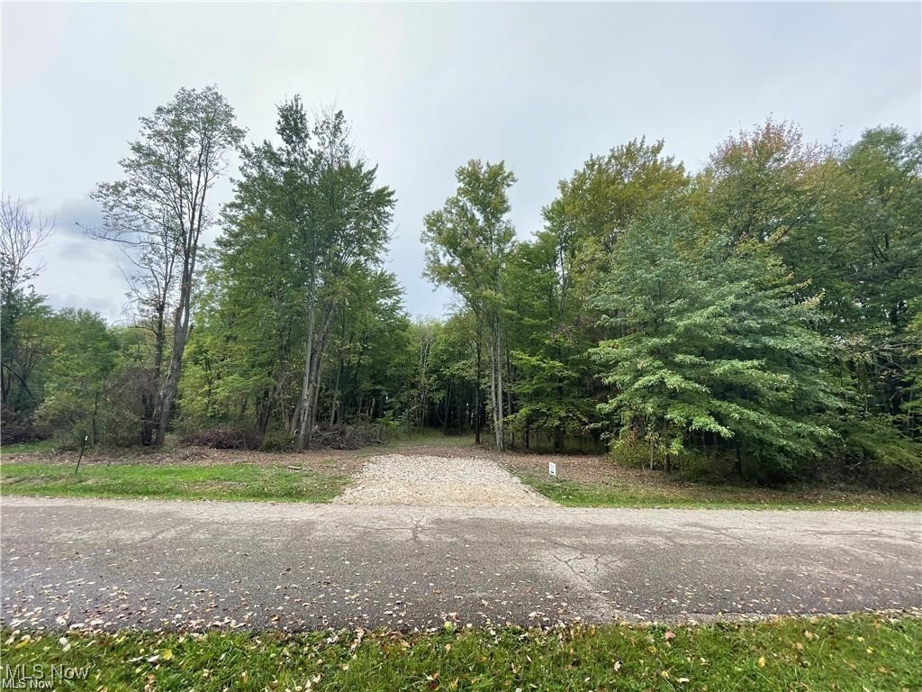 29 Colony Drive Alliance OH 44601