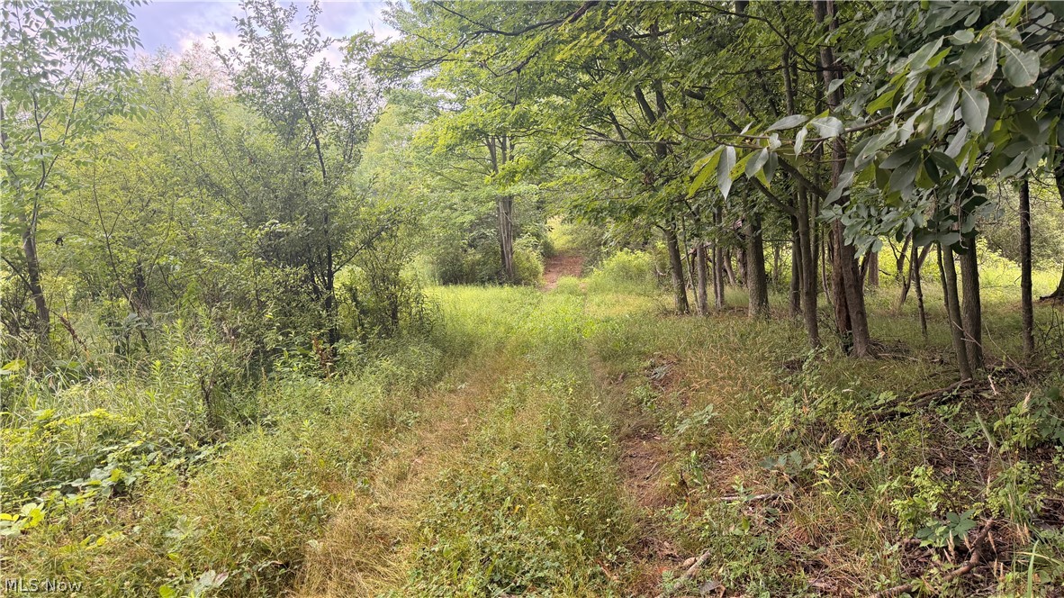 5201 Emerson Road Madison OH 44057