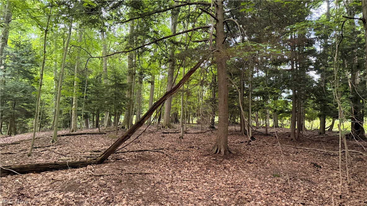 5201 Emerson Road Madison OH 44057