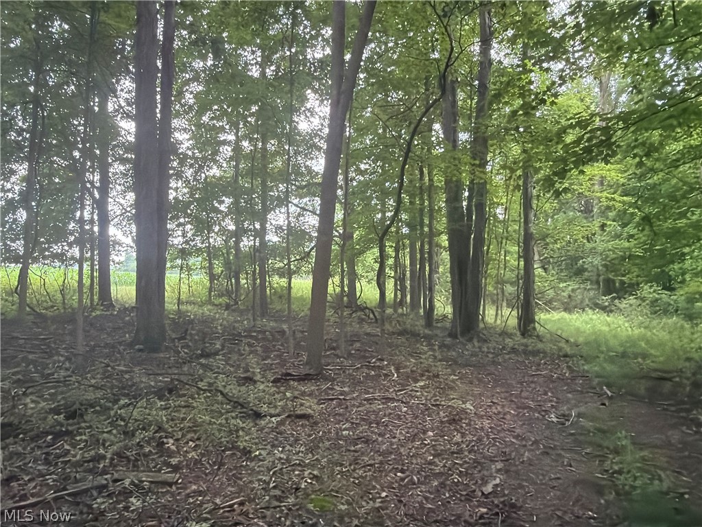 5201 Emerson Road Madison OH 44057