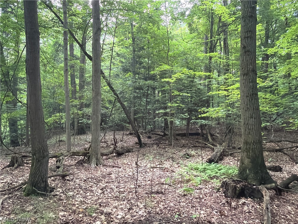 5201 Emerson Road Madison OH 44057