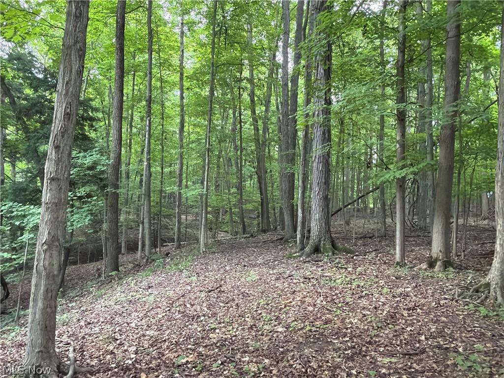 5201 Emerson Road Madison OH 44057
