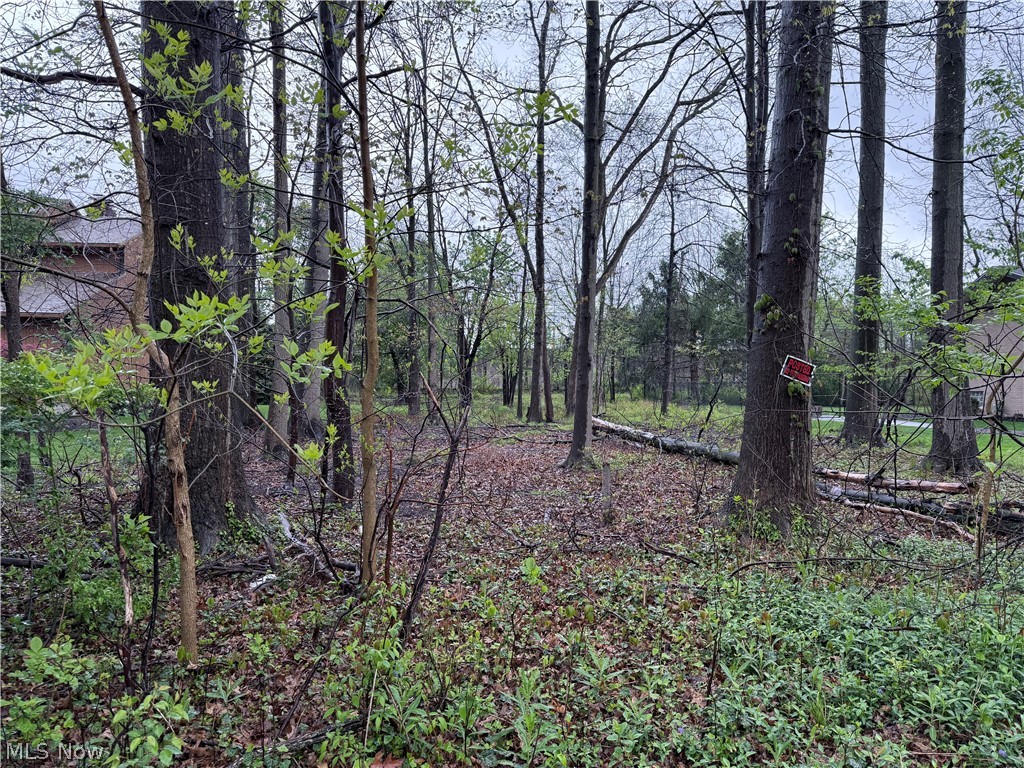 Vincent Road Silver Lake OH 44224