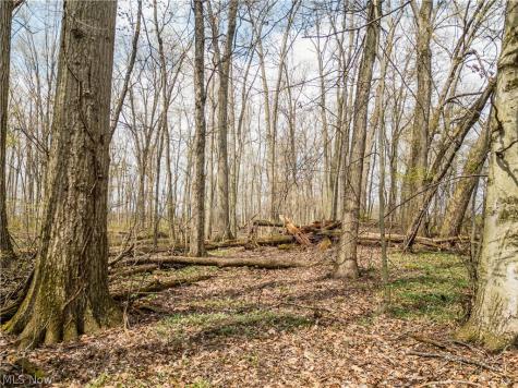 Steiner Road Creston OH 44217