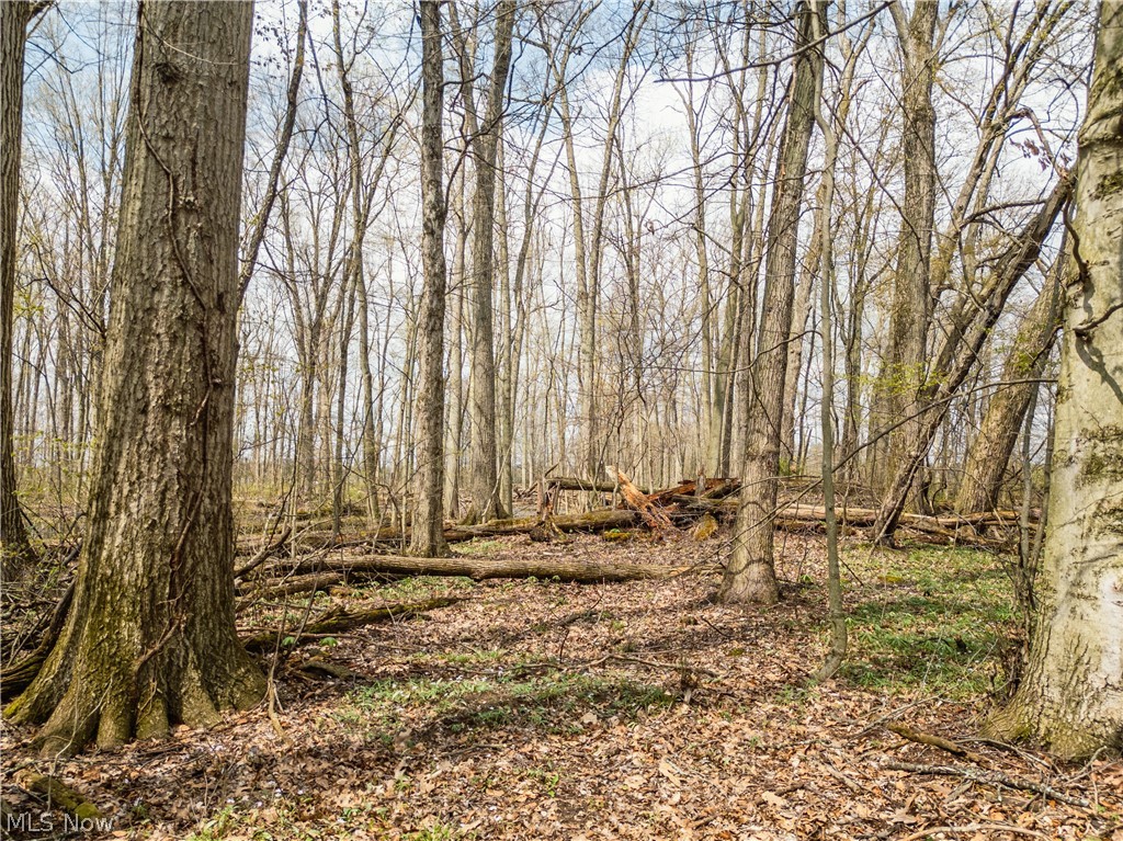 Steiner Road Creston OH 44217