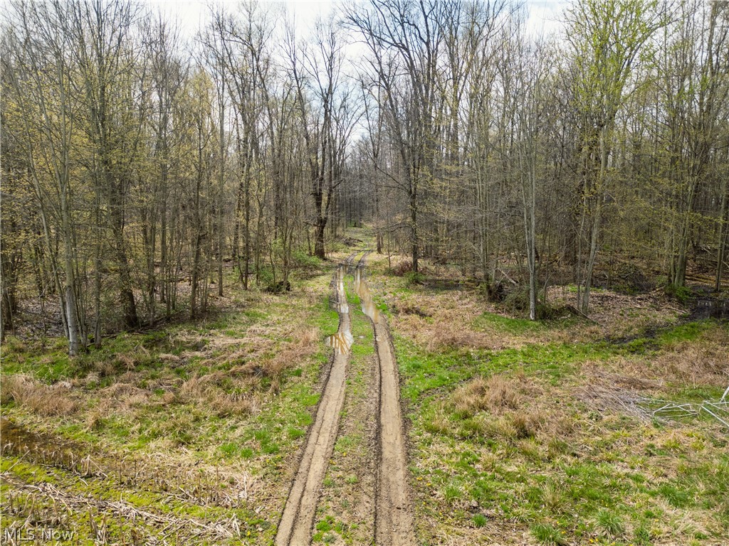 Steiner Road Creston OH 44217
