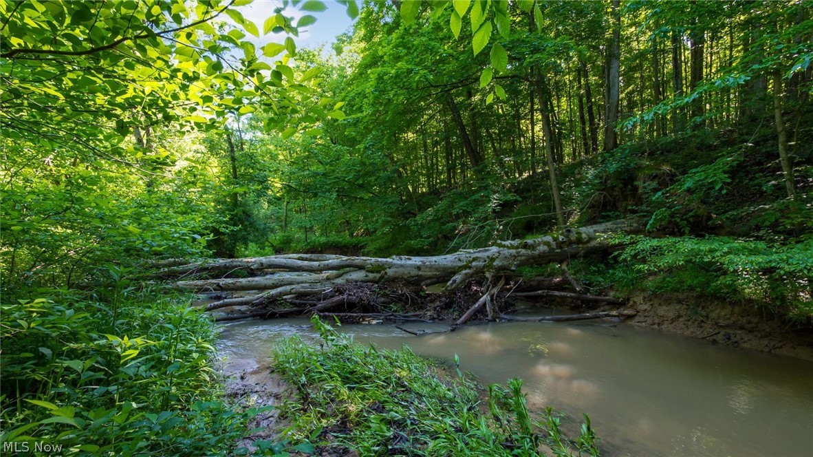 9164 Township Road 51 Mount Perry OH 43760