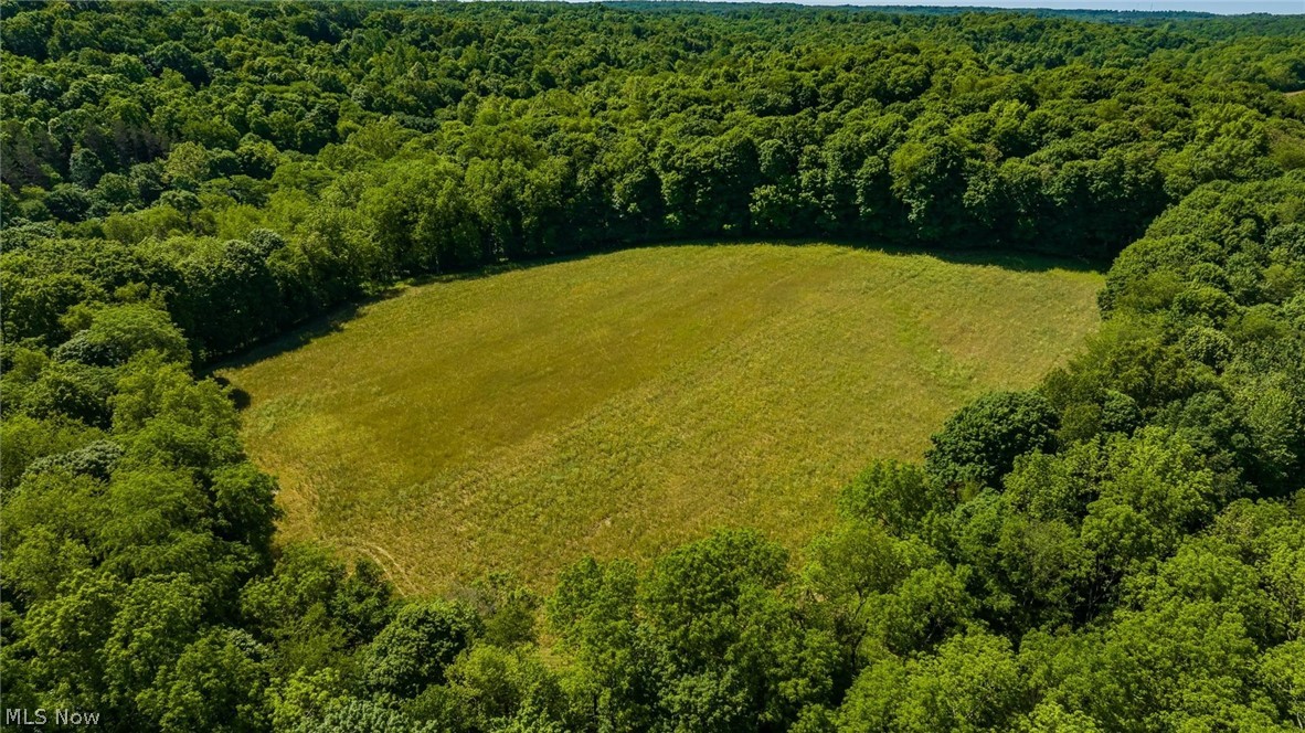 9164 Township Road 51 Mount Perry OH 43760