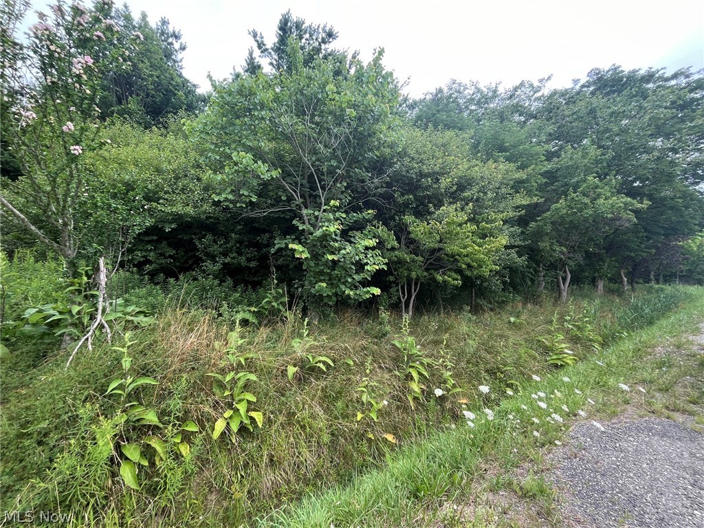 Buie Road Kingsville OH 44048