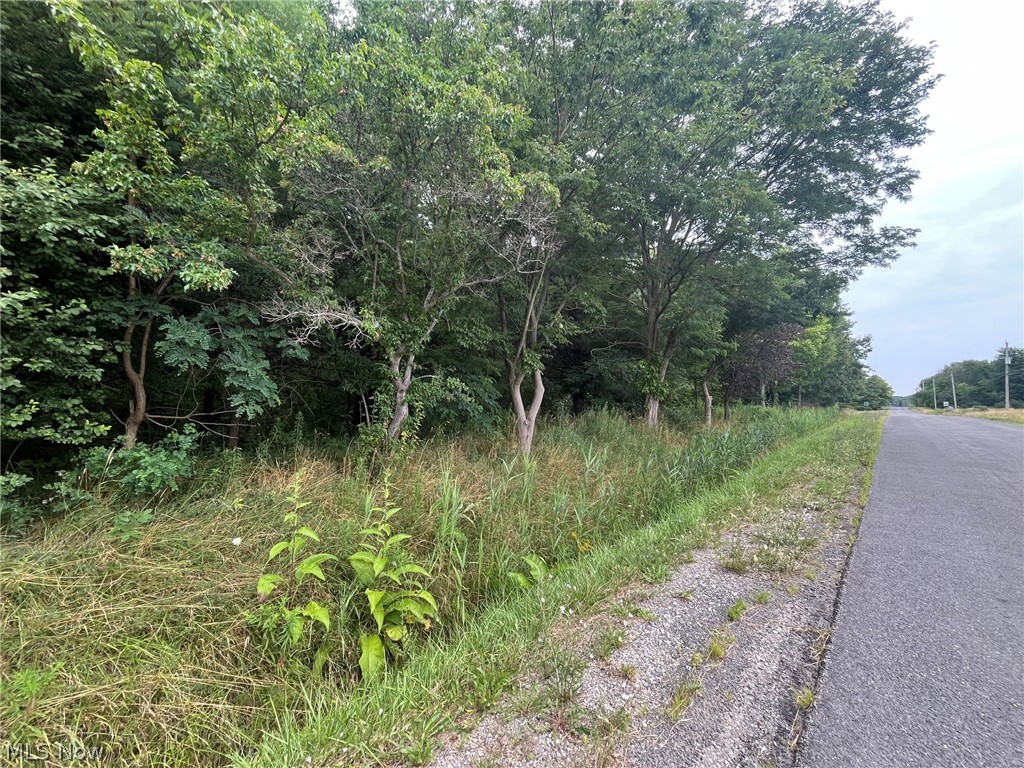 Buie Road Kingsville OH 44048