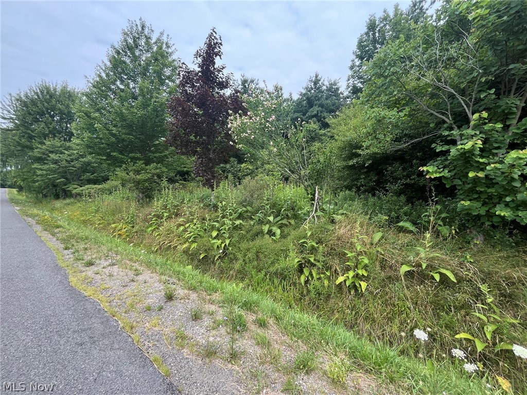 Buie Road Kingsville OH 44048