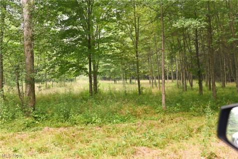 State Route 14 Deerfield OH 44411