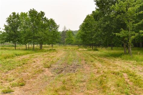 State Route 14 Deerfield OH 44411
