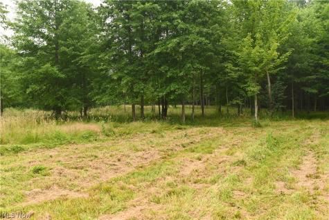 State Route 14 Deerfield OH 44411