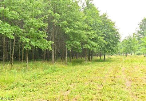 State Route 14 Deerfield OH 44411