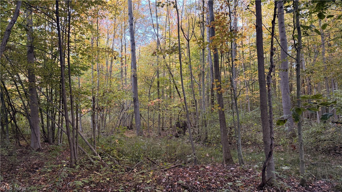 Munson Hill Road Ashtabula OH 44004
