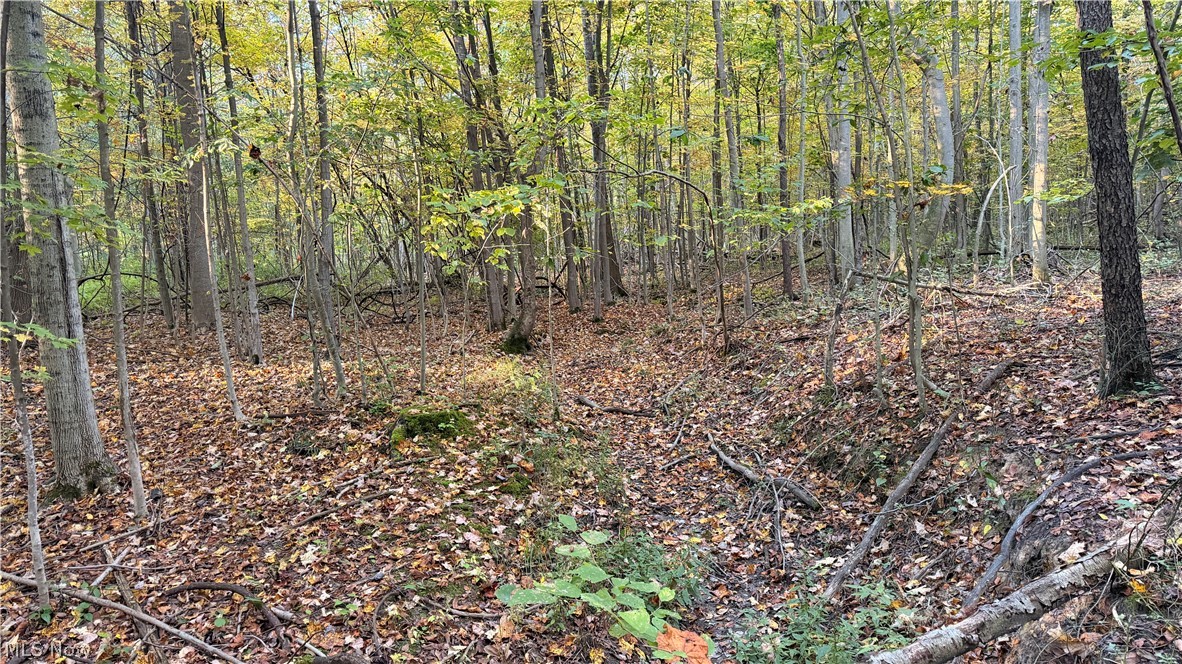 Munson Hill Road Ashtabula OH 44004