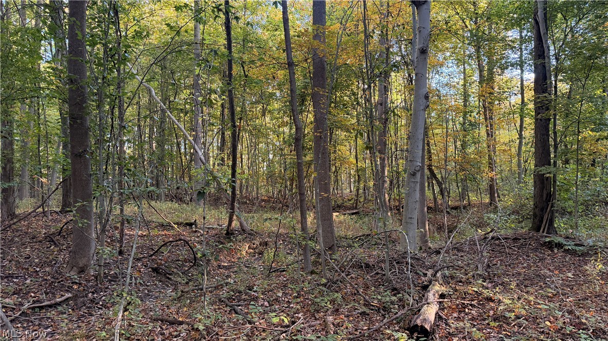 Munson Hill Road Ashtabula OH 44004
