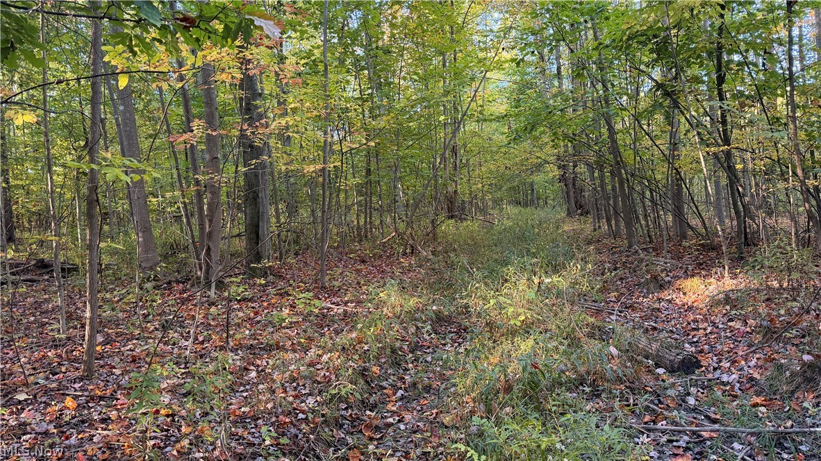 Munson Hill Road Ashtabula OH 44004