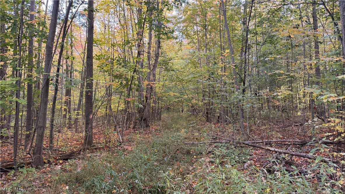 Munson Hill Road Ashtabula OH 44004