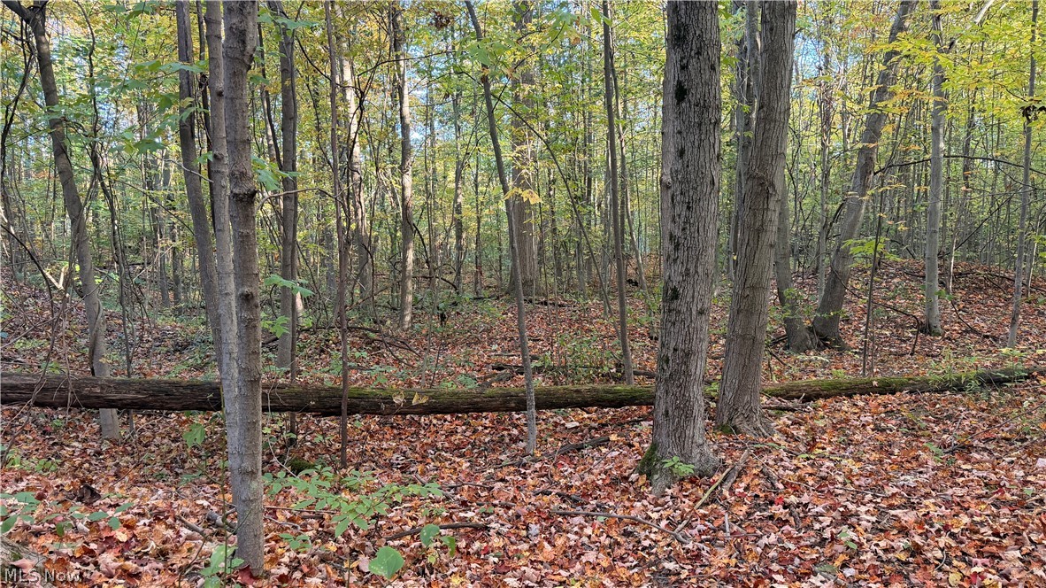 Munson Hill Road Ashtabula OH 44004