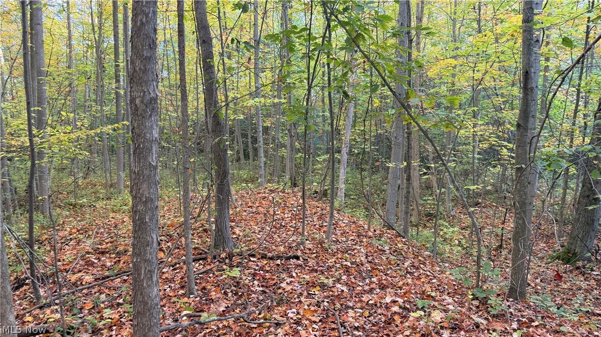 Munson Hill Road Ashtabula OH 44004