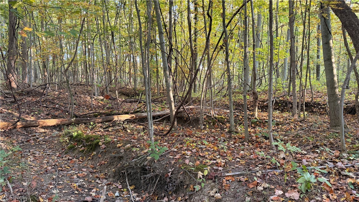 Munson Hill Road Ashtabula OH 44004