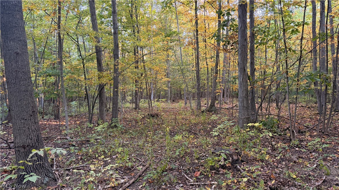 Munson Hill Road Ashtabula OH 44004