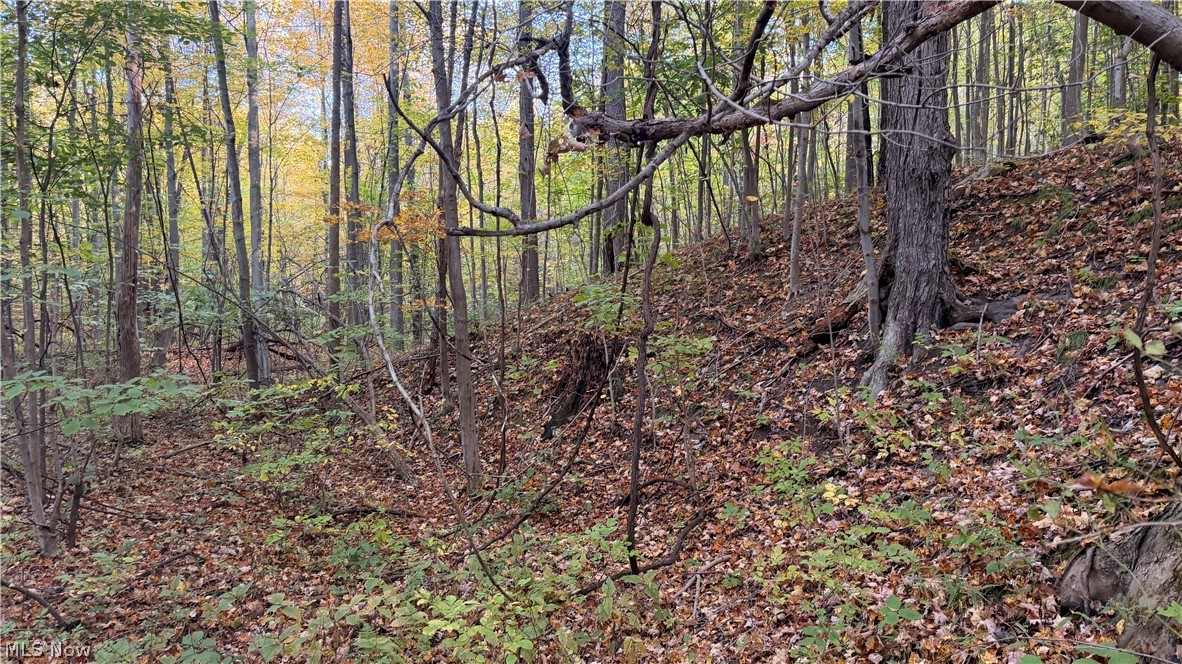 Munson Hill Road Ashtabula OH 44004