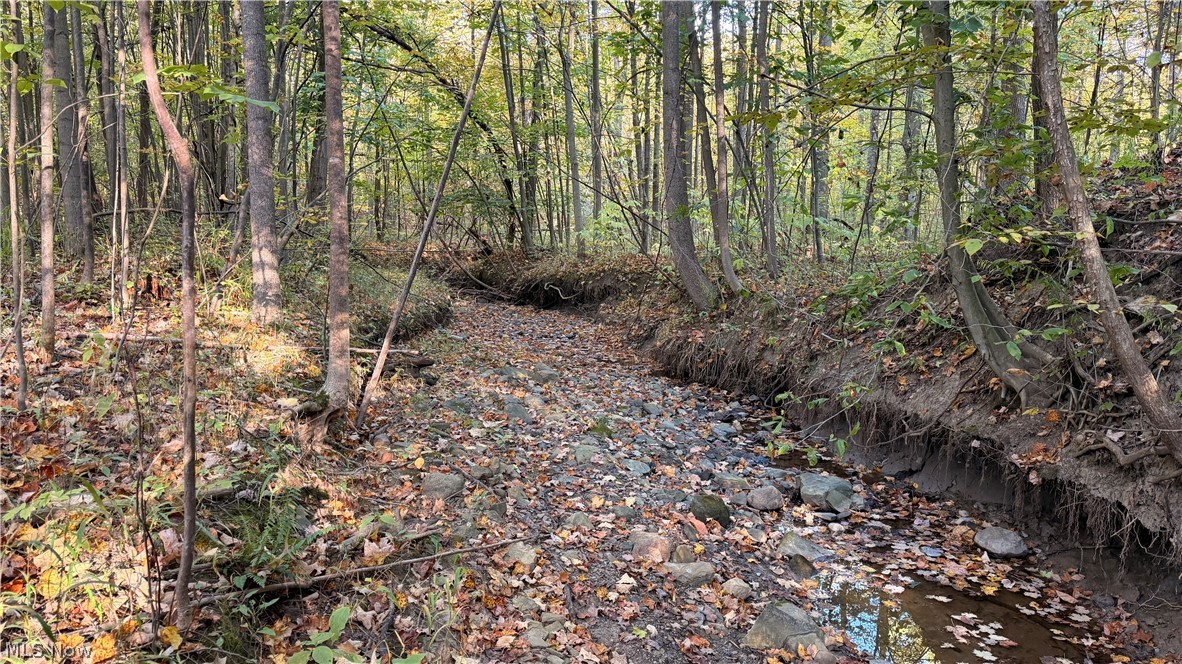 Munson Hill Road Ashtabula OH 44004