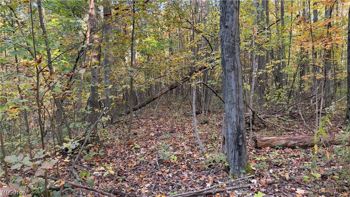 Munson Hill Road Ashtabula OH 44004