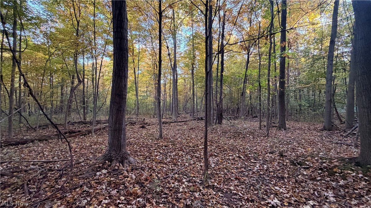Munson Hill Road Ashtabula OH 44004