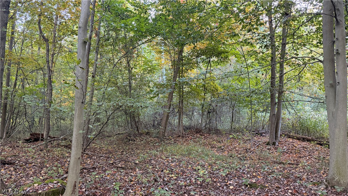 Munson Hill Road Ashtabula OH 44004