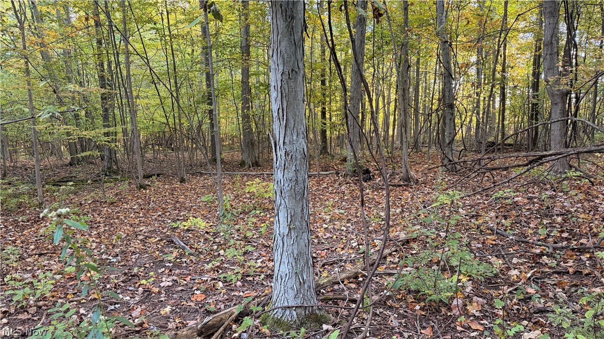 Munson Hill Road Ashtabula OH 44004