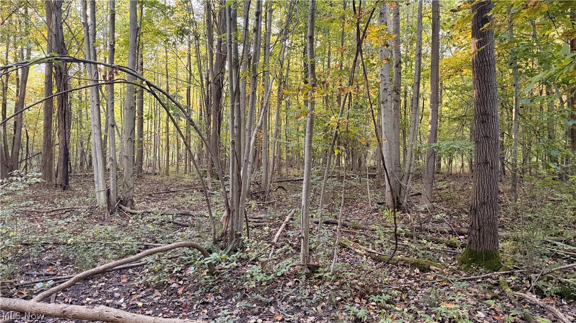 Munson Hill Road Ashtabula OH 44004
