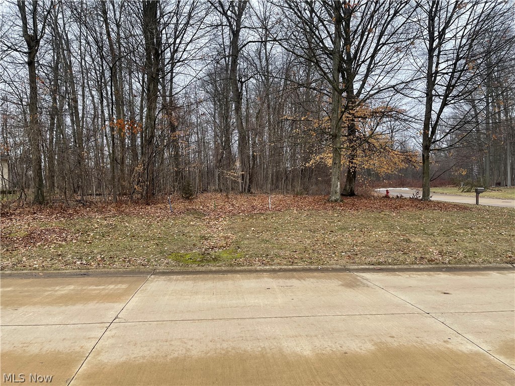 V/l 260 Stony Brook Lane Wakeman OH 44889