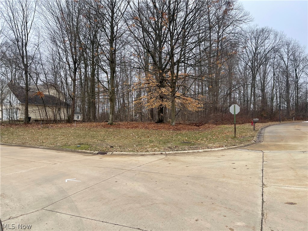 V/l 260 Stony Brook Lane Wakeman OH 44889