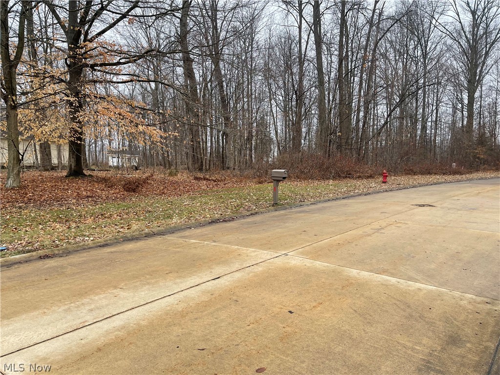 V/l 260 Stony Brook Lane Wakeman OH 44889